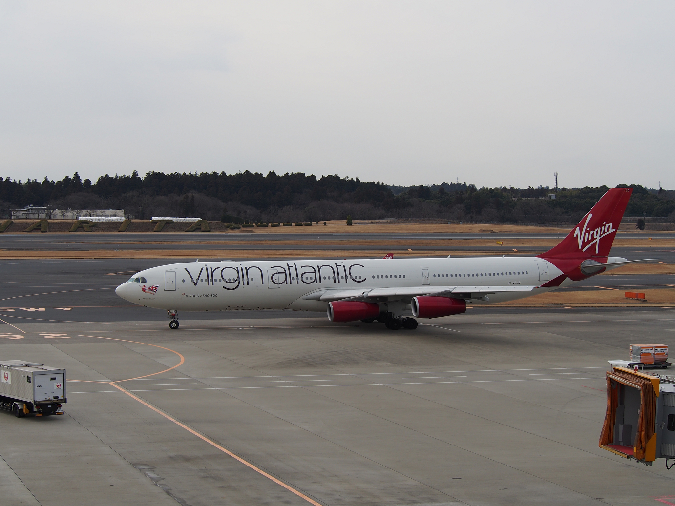 P1050139.jpg