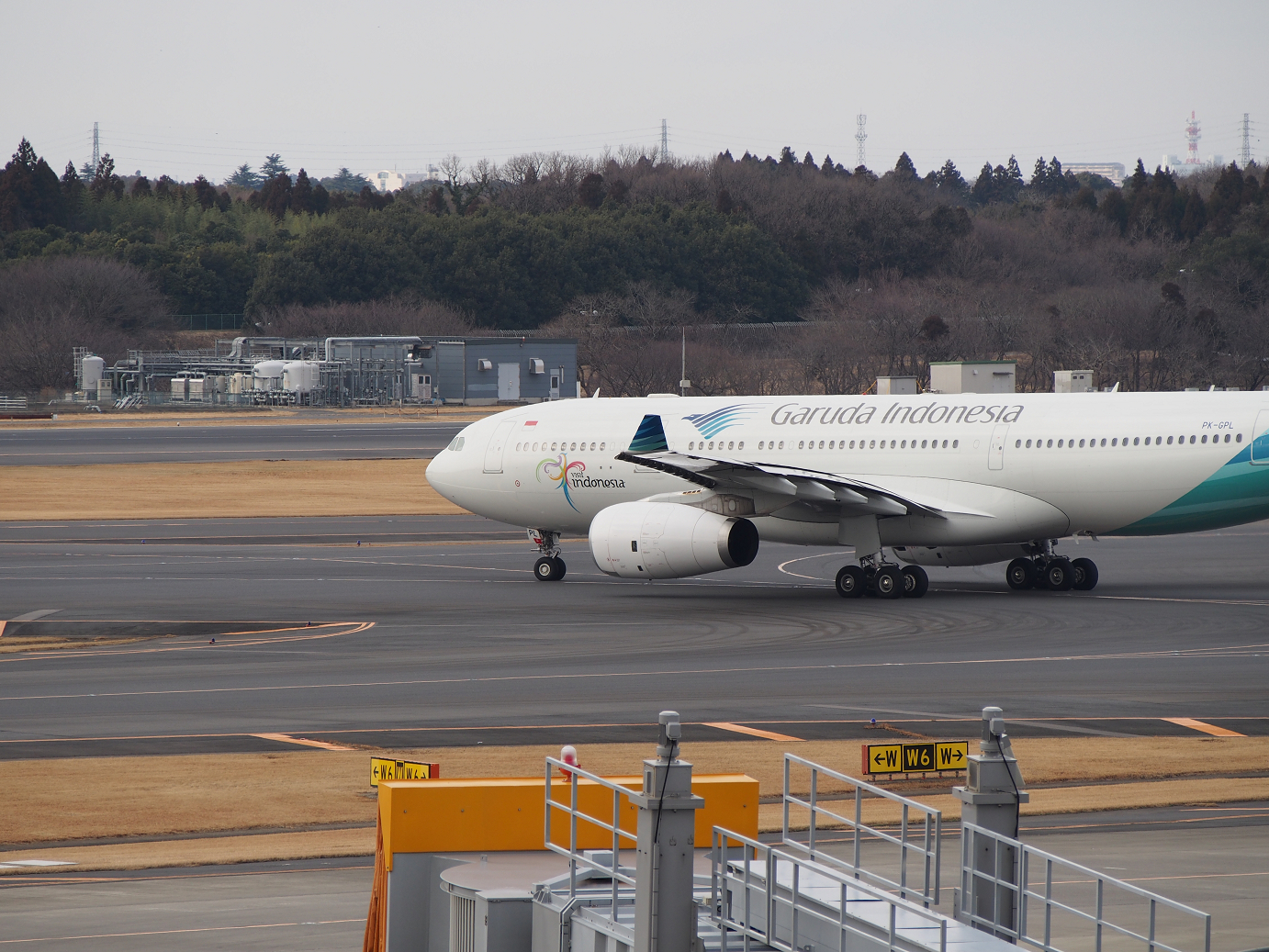 P1050148.jpg