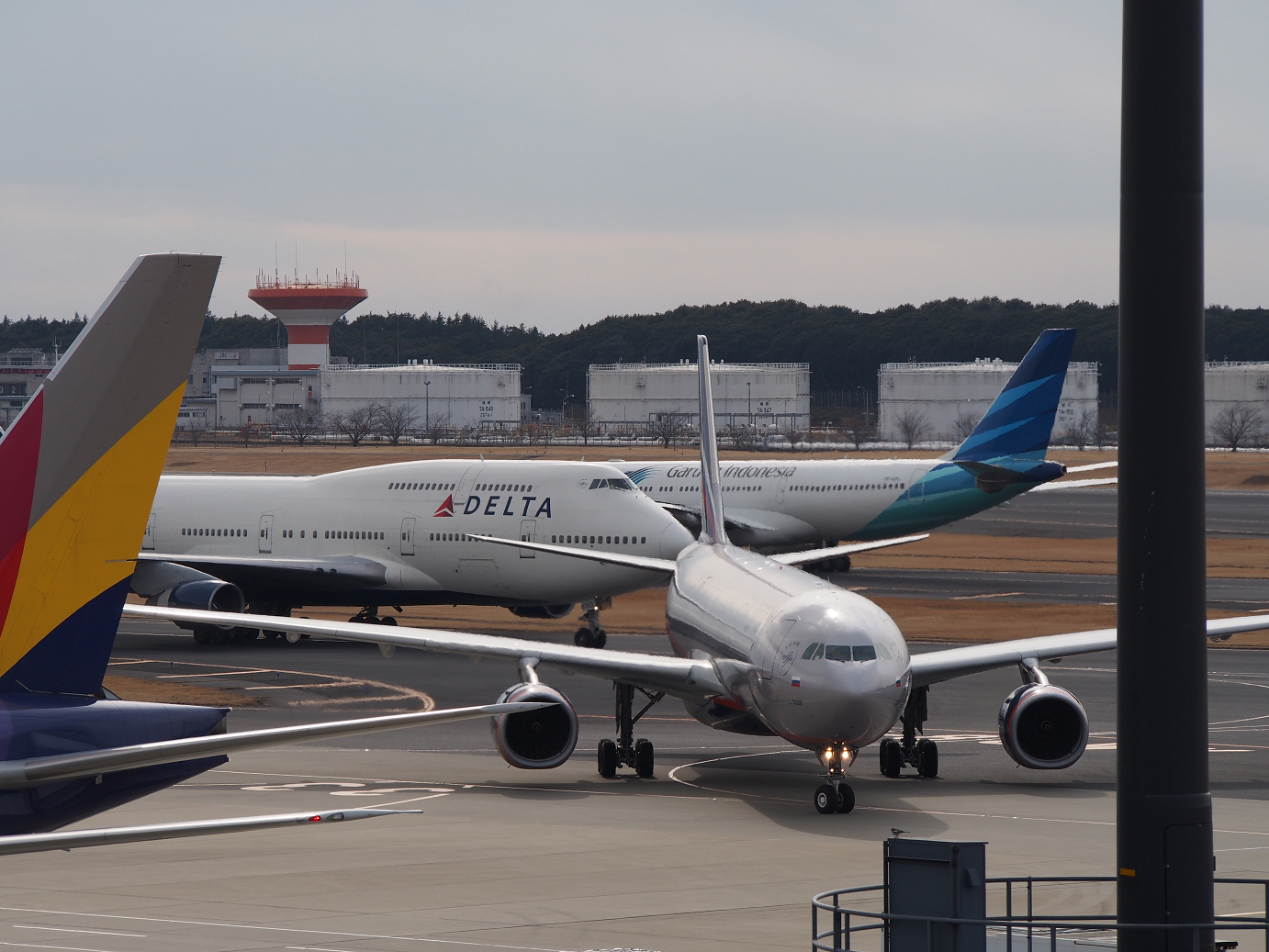 P1050157.jpg