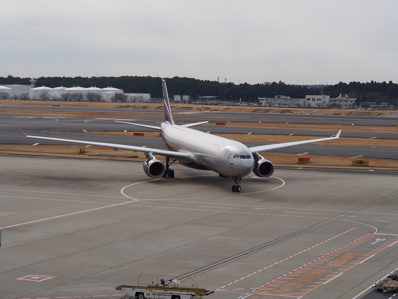 P1050162.jpg