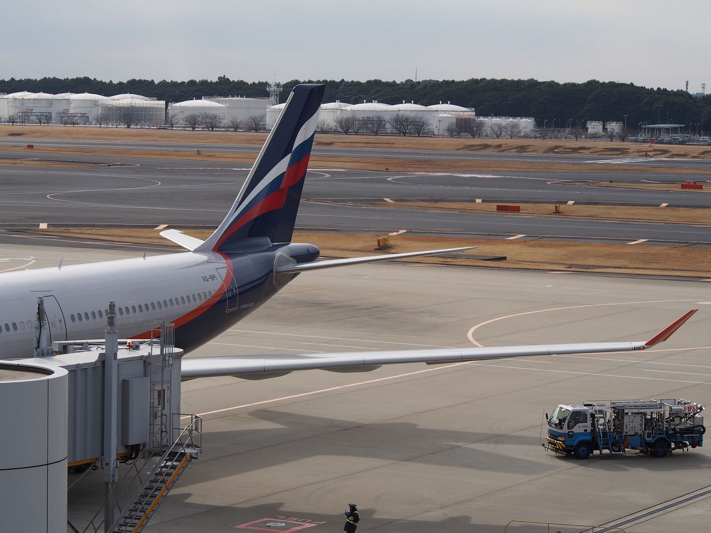 P1050166.jpg