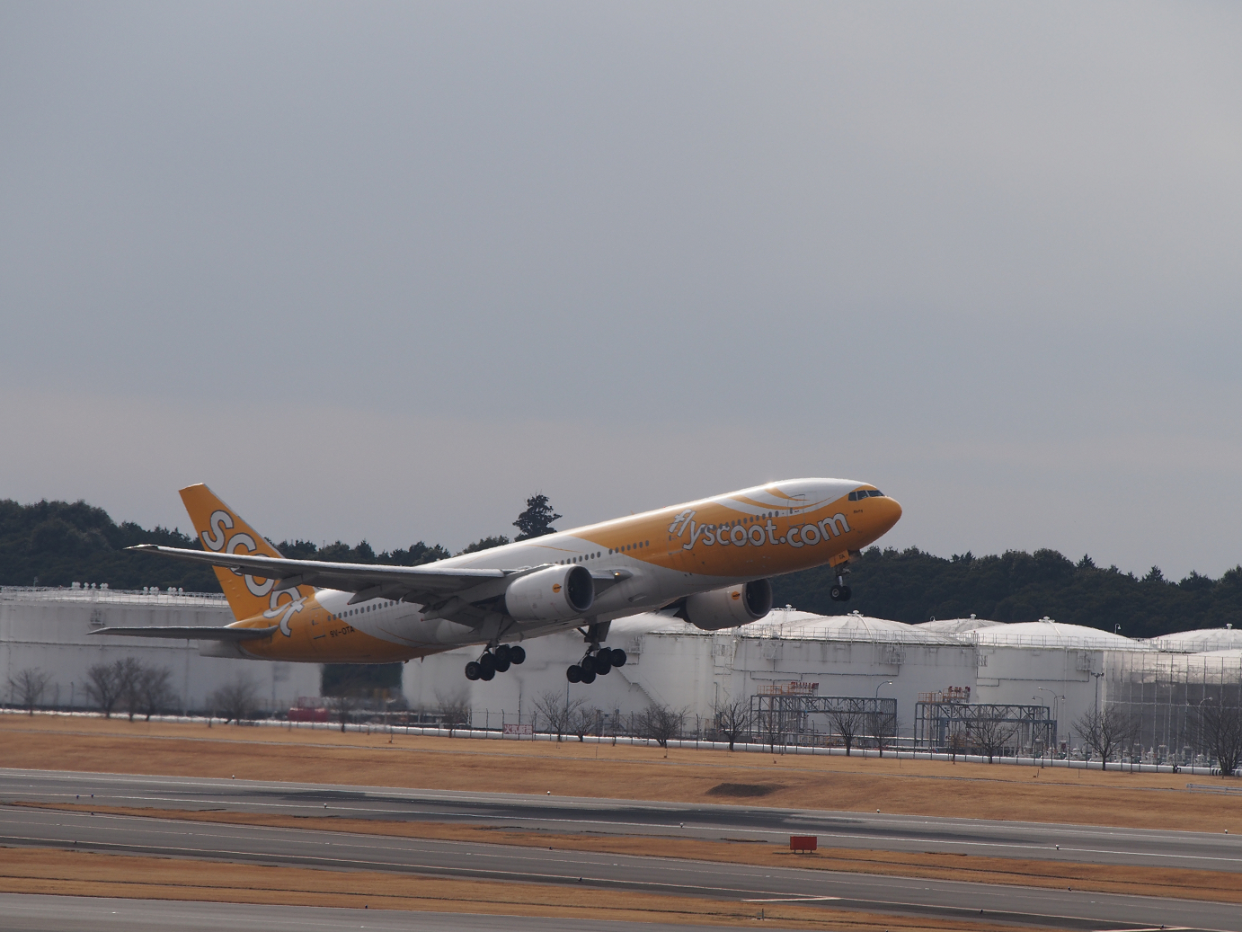 P1050169.jpg