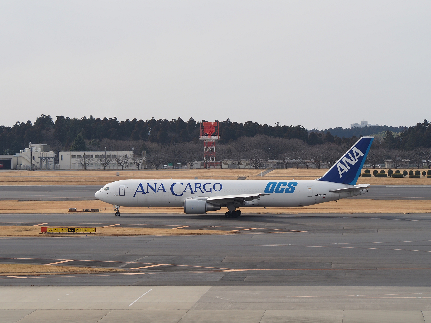 P1050176.jpg
