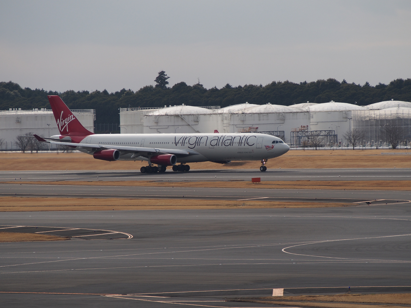 P1050187.jpg