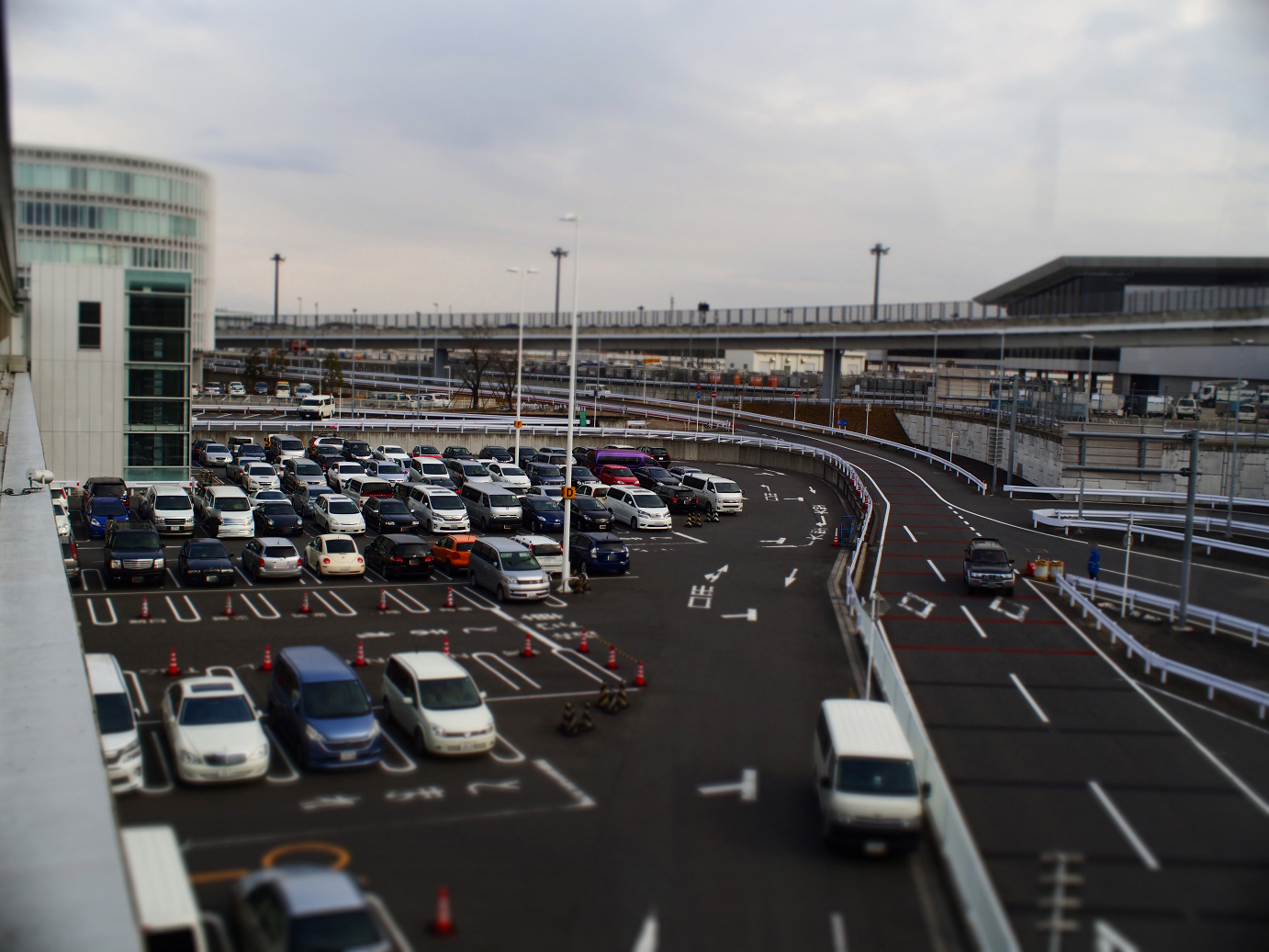 P1050291.jpg