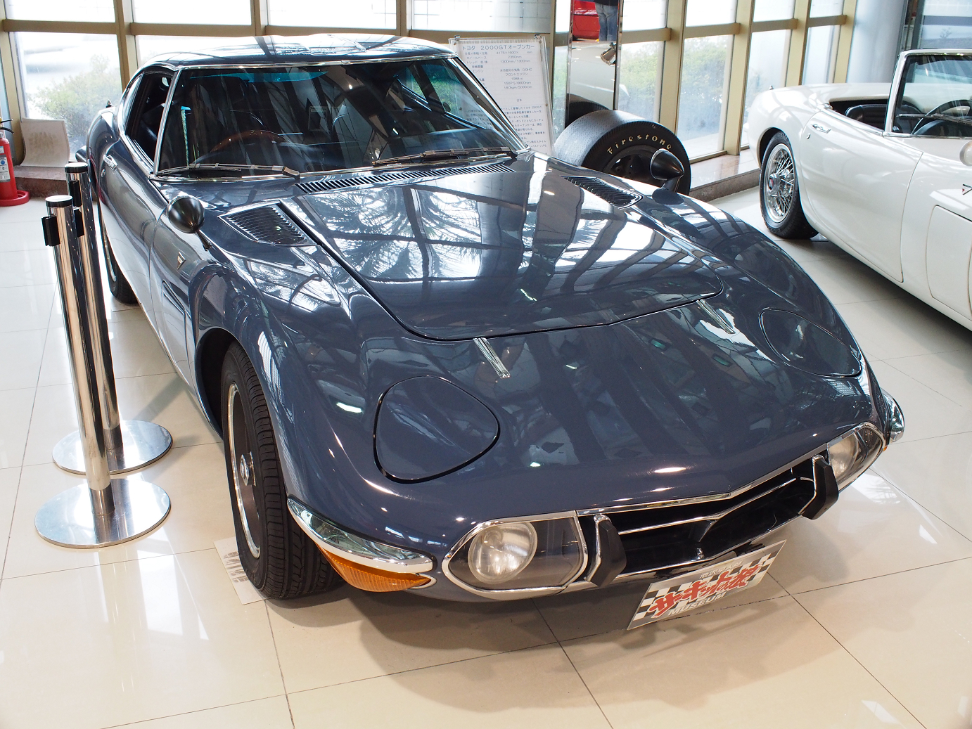 P1050369.jpg