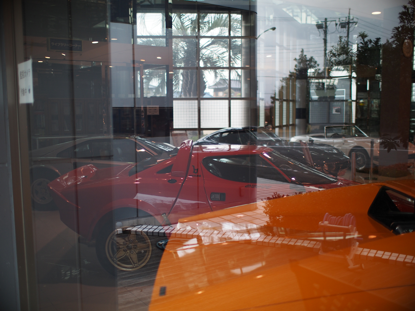 P1050438.jpg