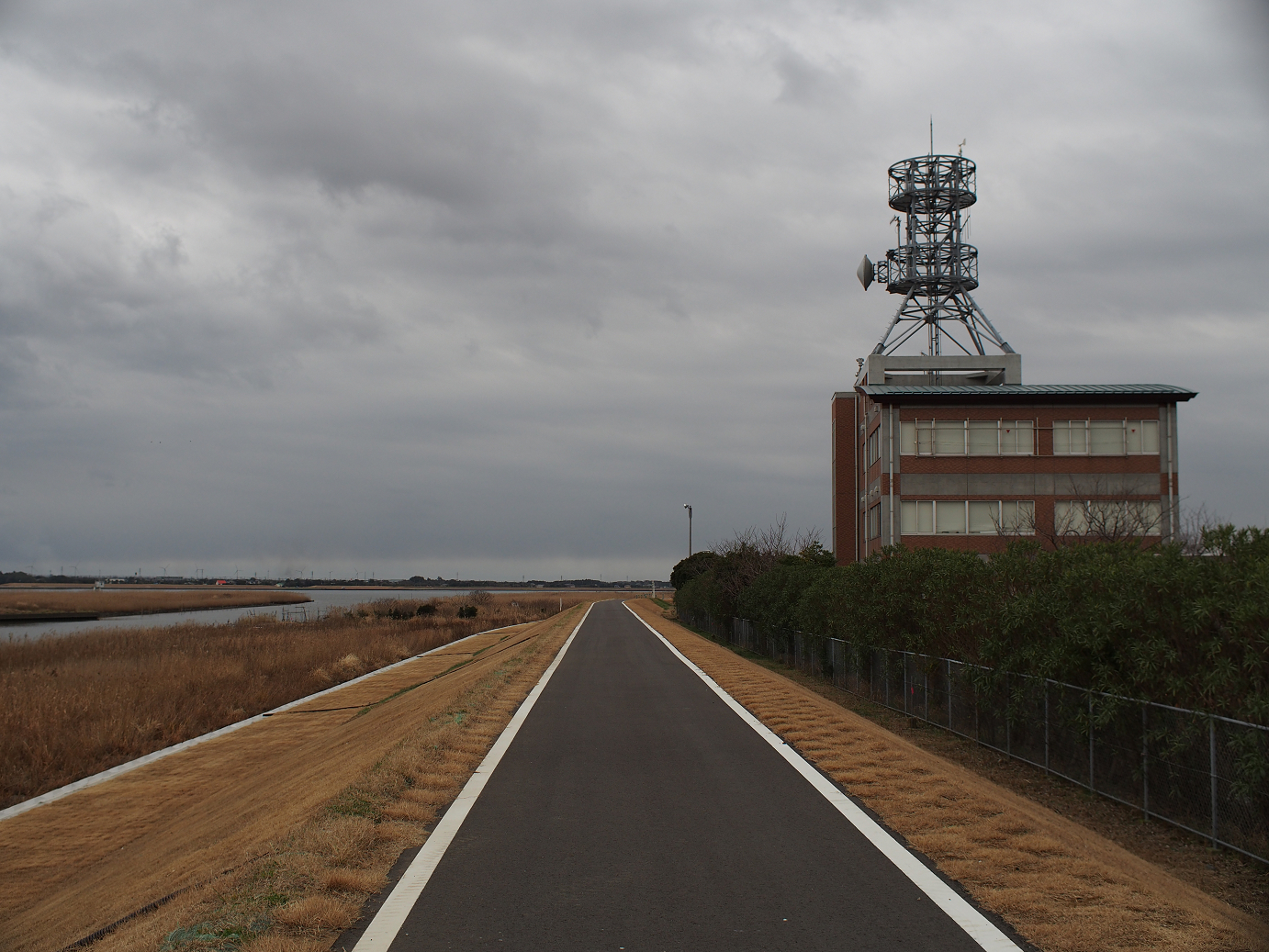 P1050477.jpg