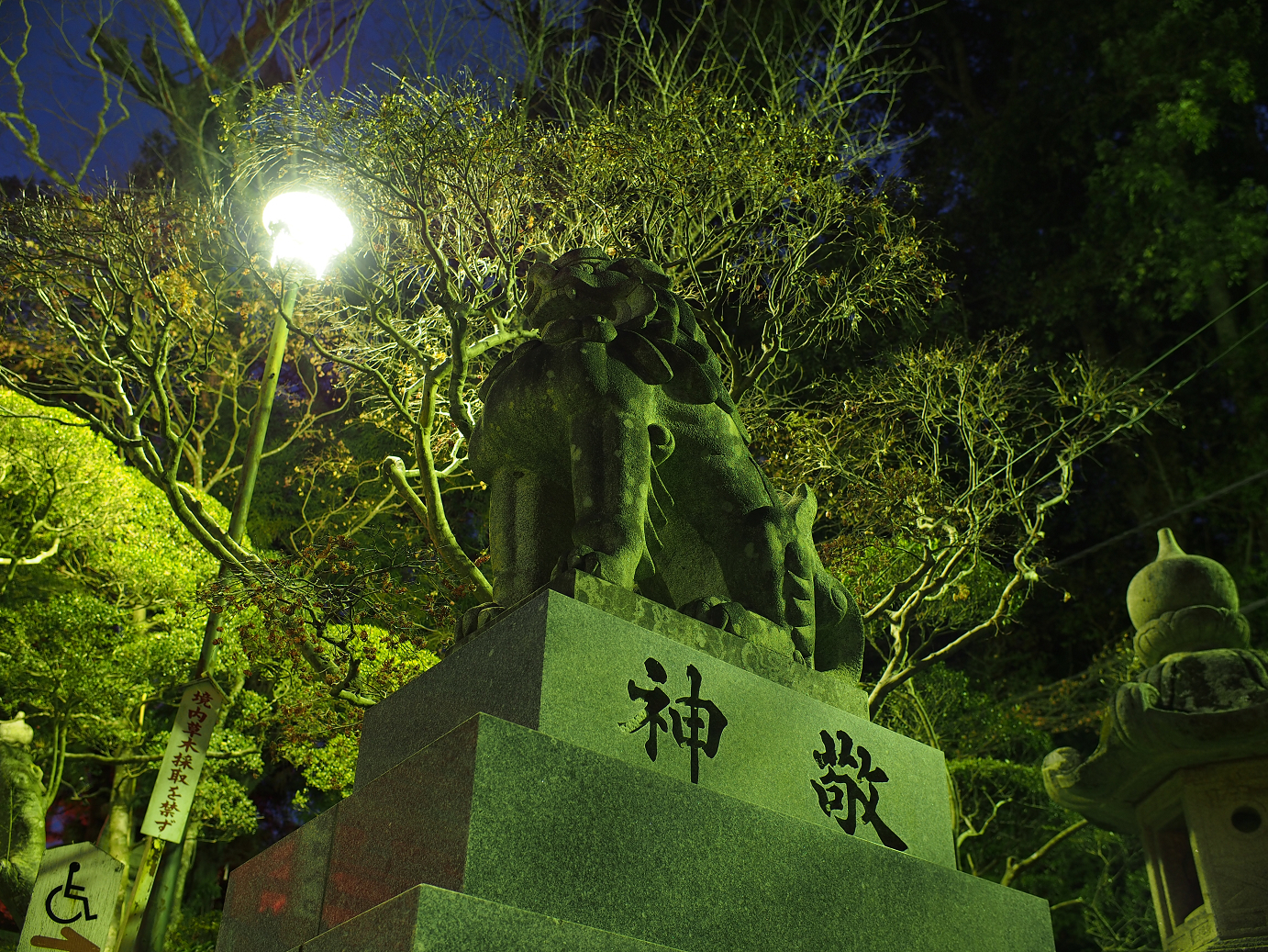 P1050495.jpg