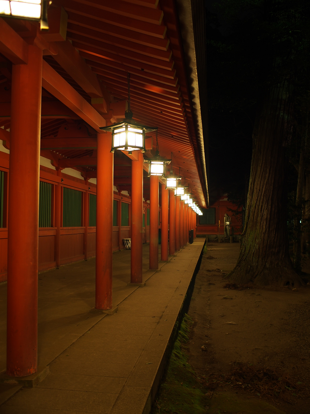 P1050540.jpg