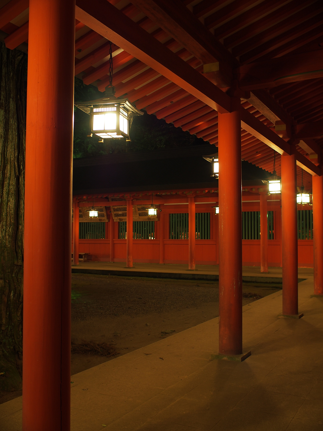 P1050543.jpg