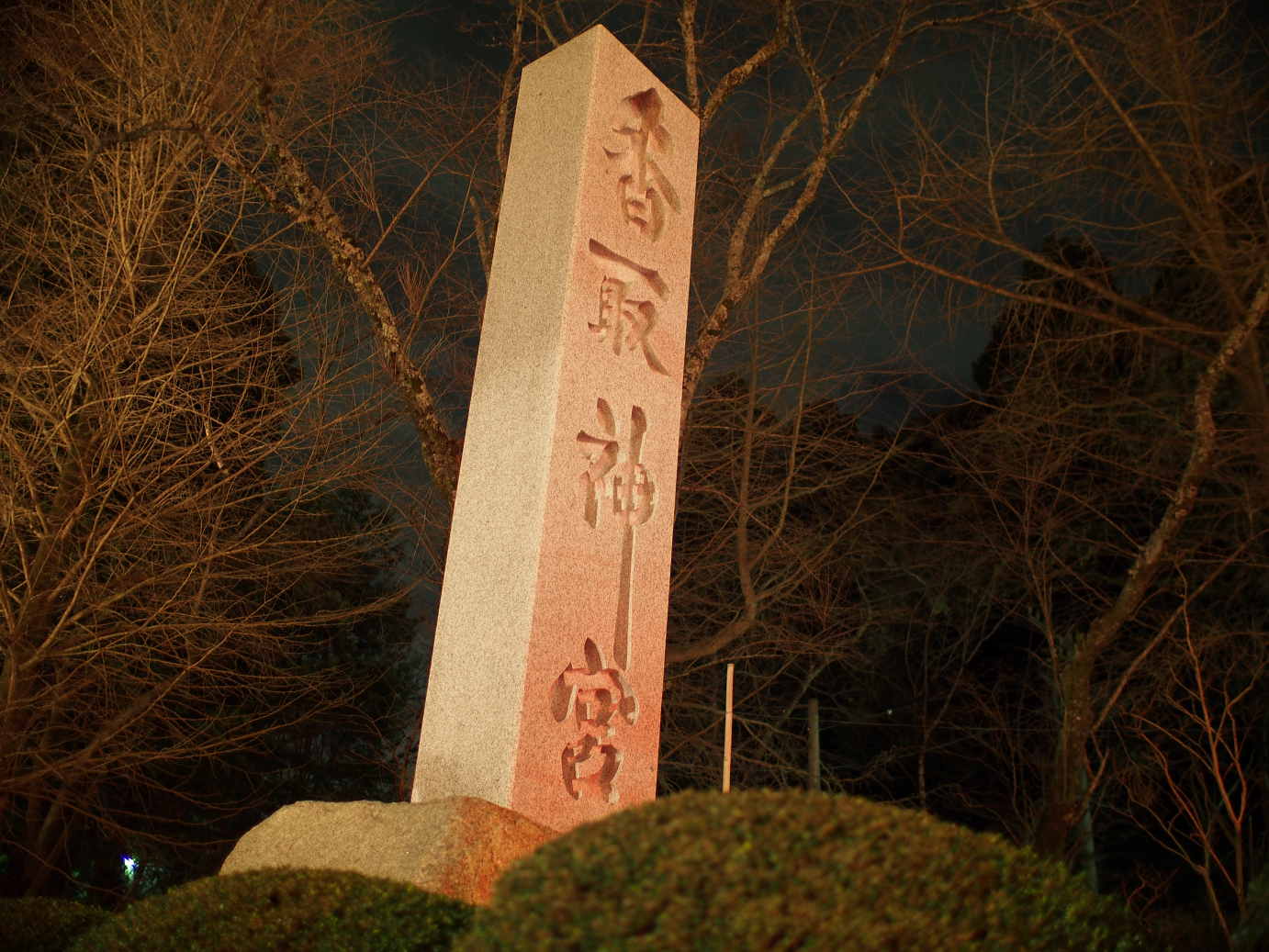 P1050558.jpg