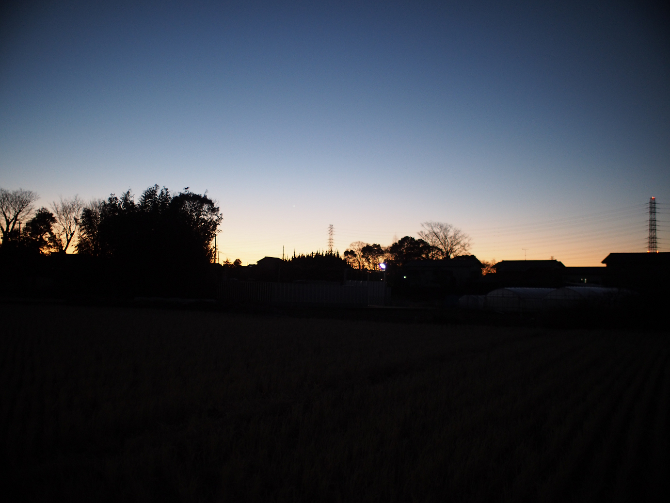 P1110001.jpg