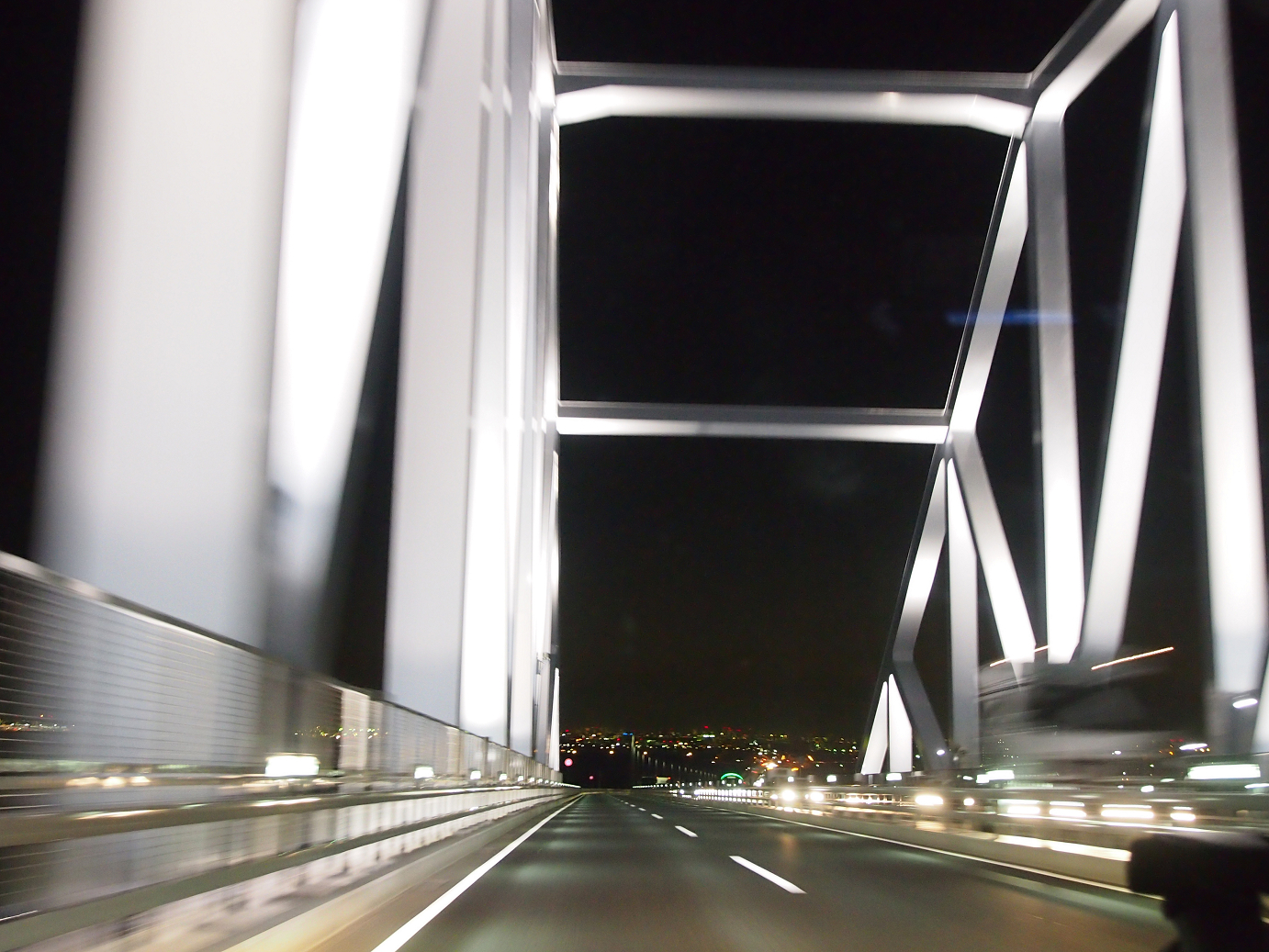 P1110392.jpg