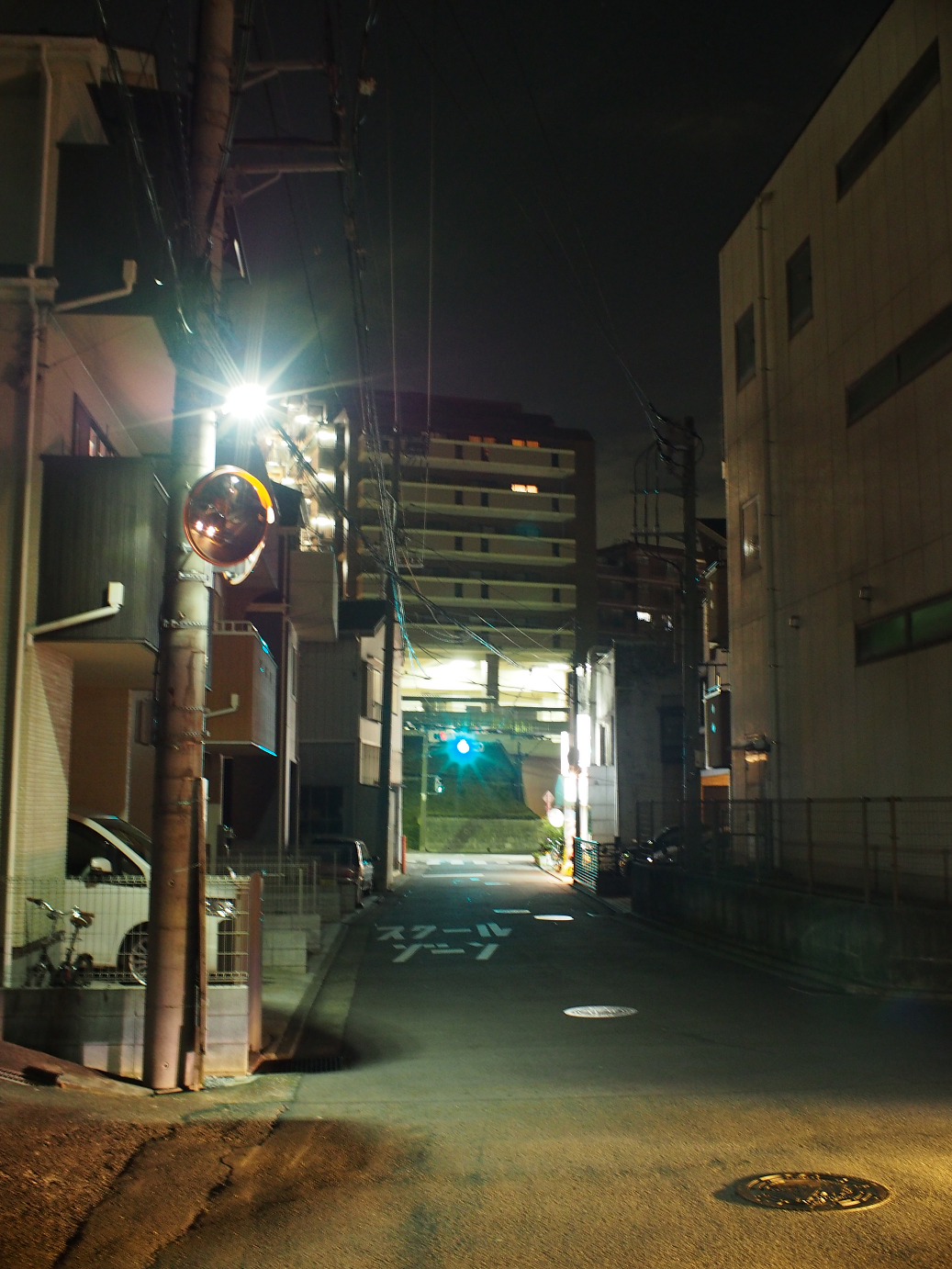 P1110393.jpg