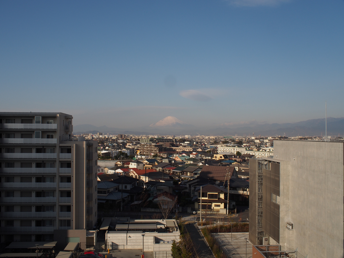 P1110397.jpg