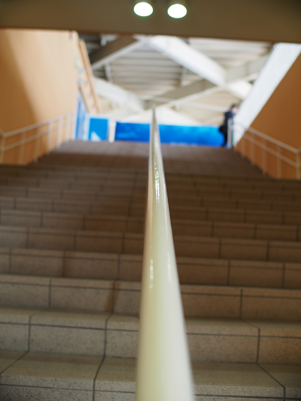 P1110433.jpg