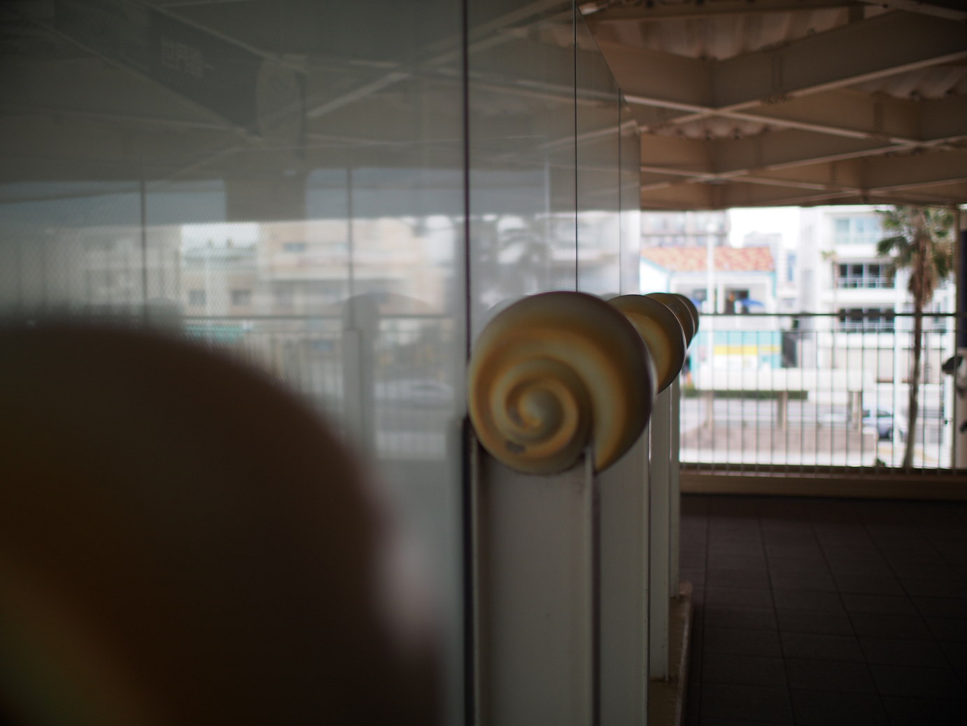 P1110436.jpg