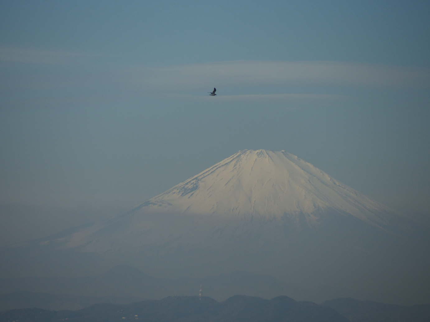P1110451.jpg