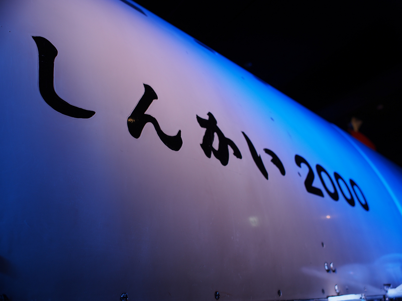 P1110491.jpg