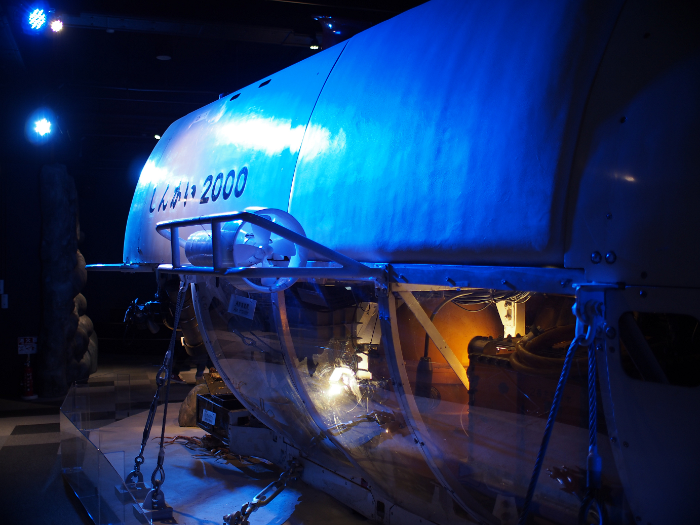 P1110497.jpg