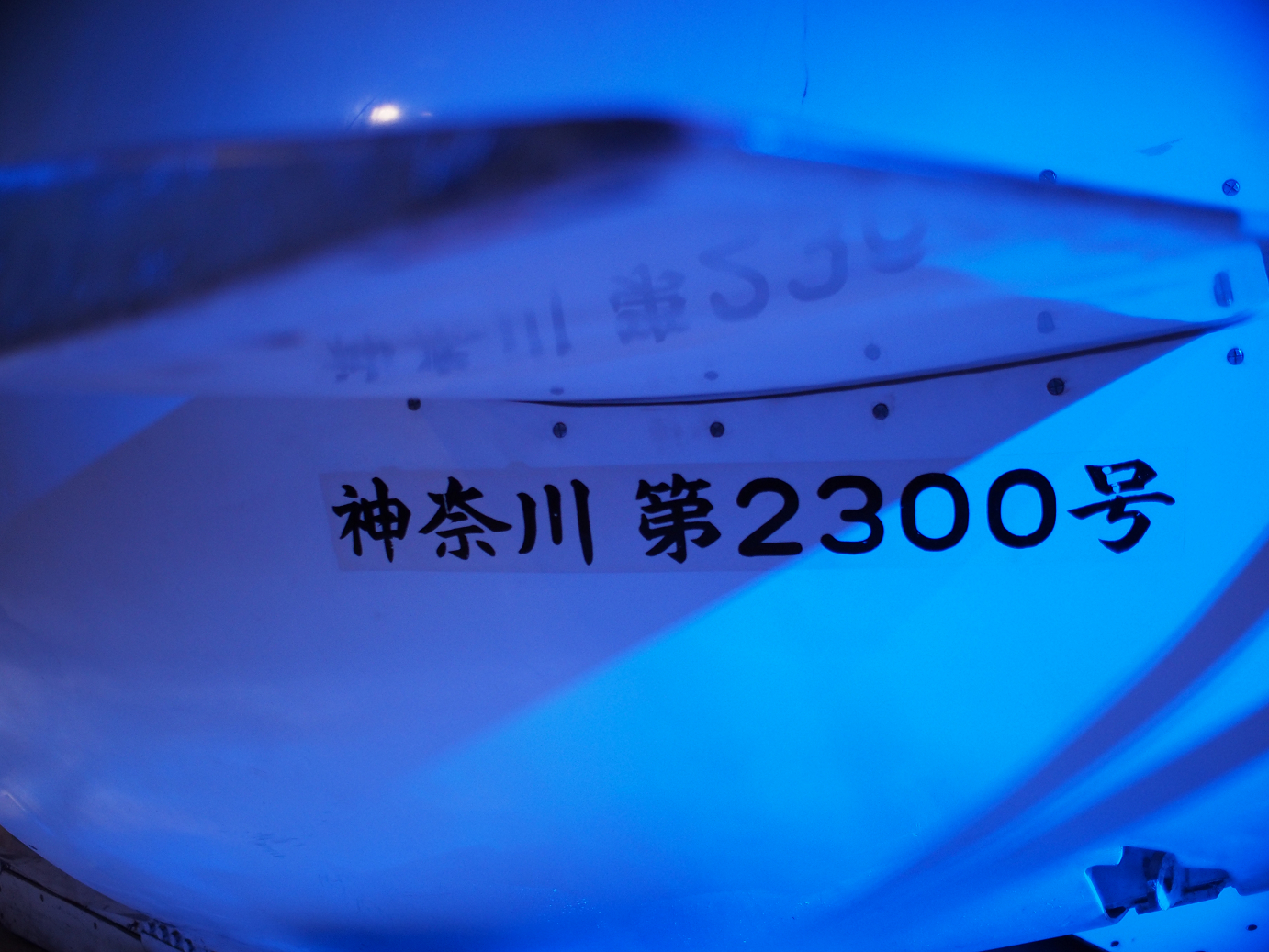 P1110500.jpg