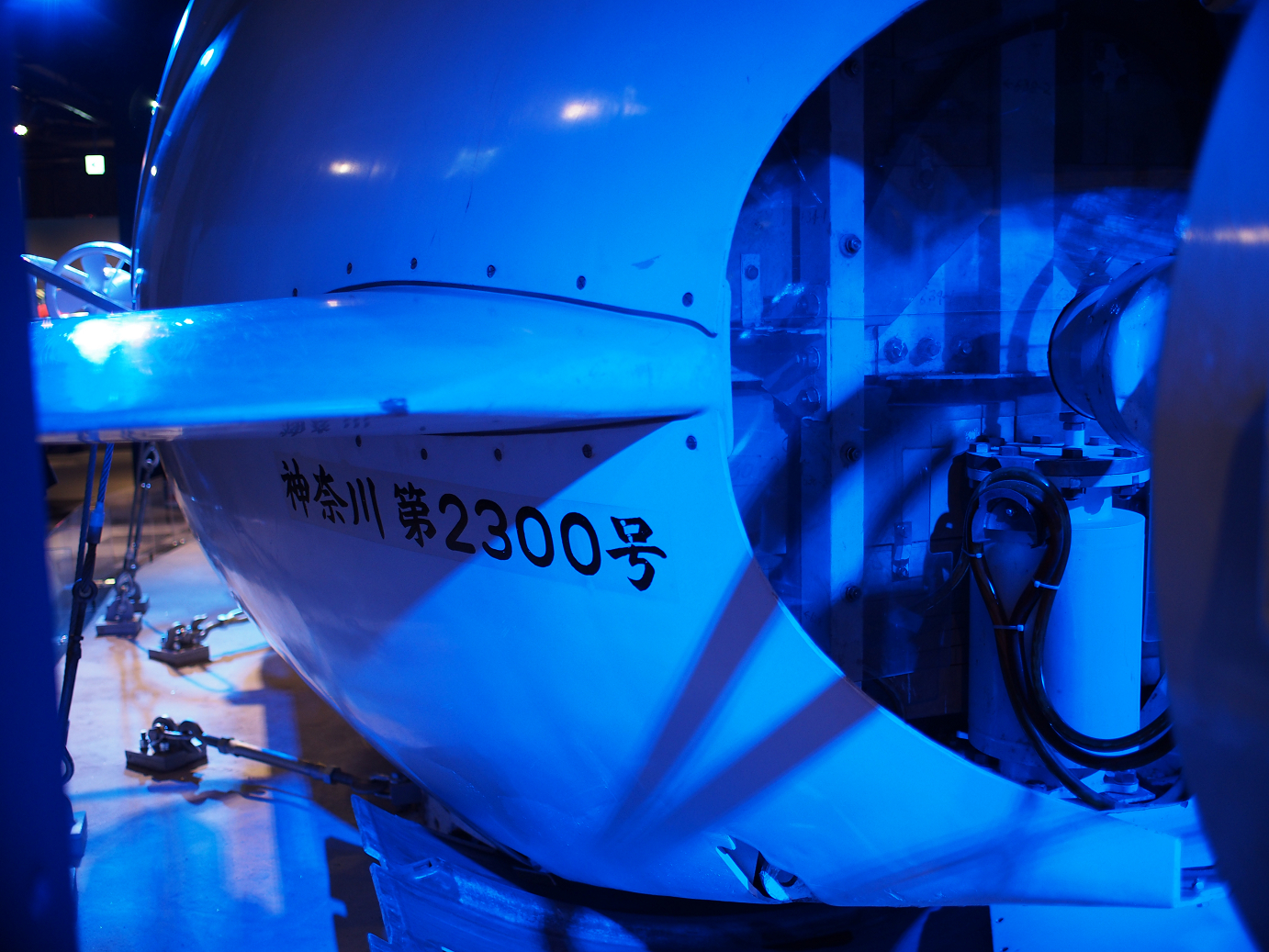 P1110501.jpg