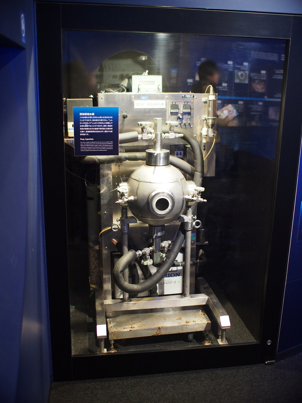 P1110510.jpg