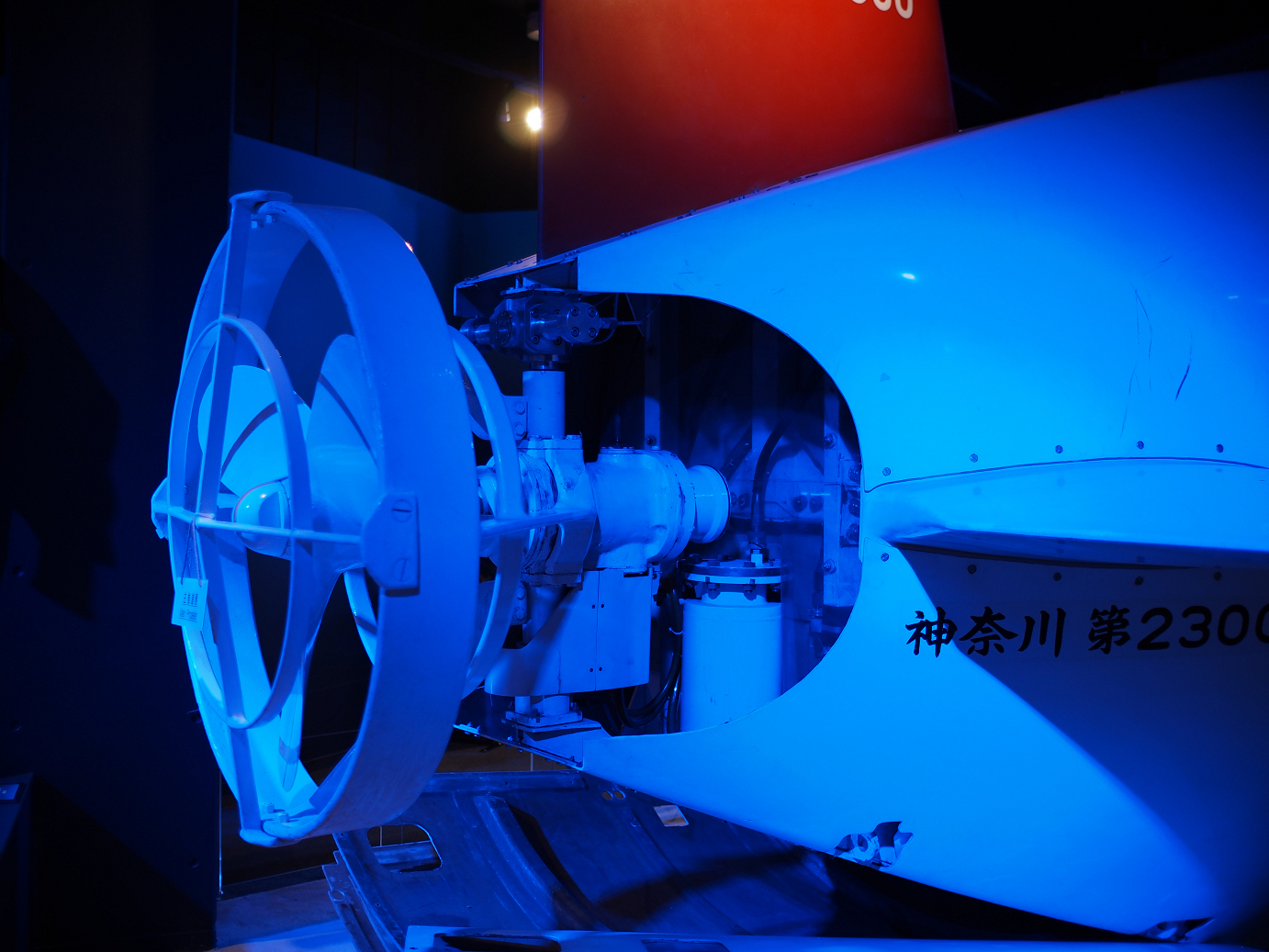 P1110513.jpg