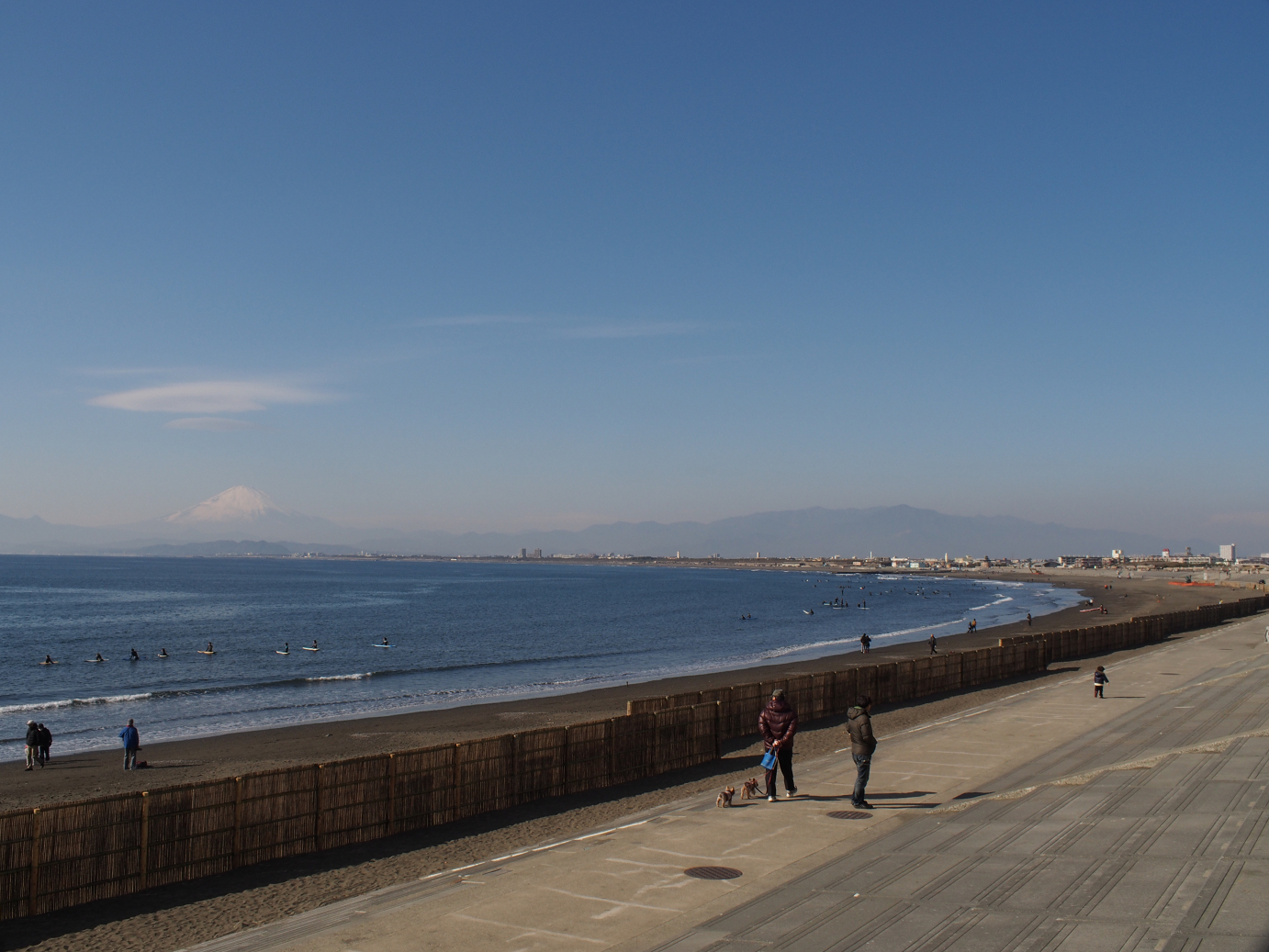 P1110546.jpg