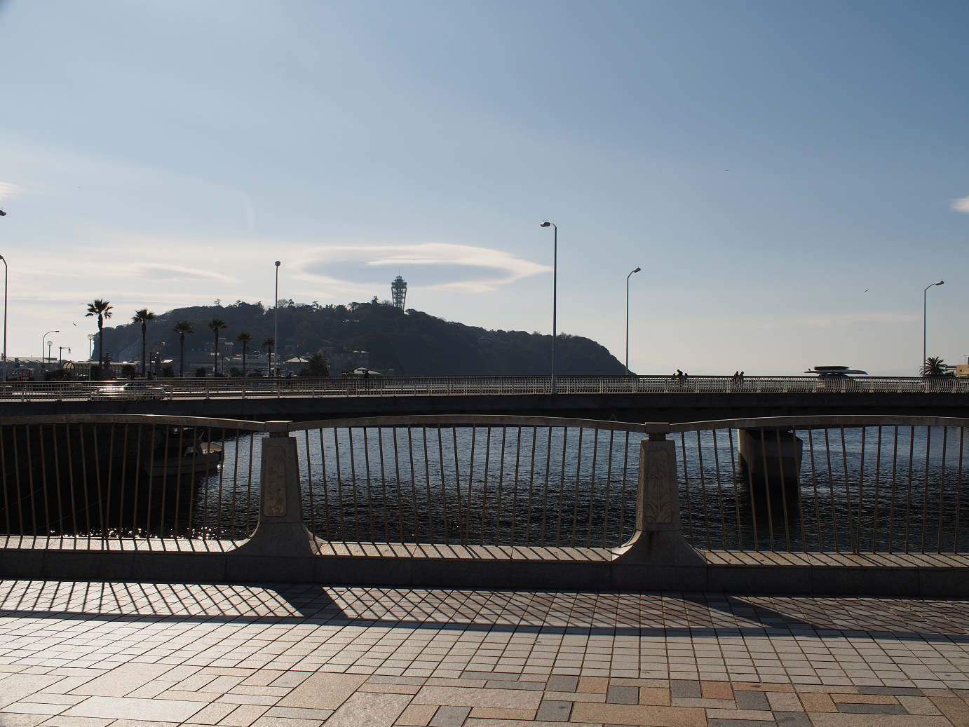 P1110549.jpg