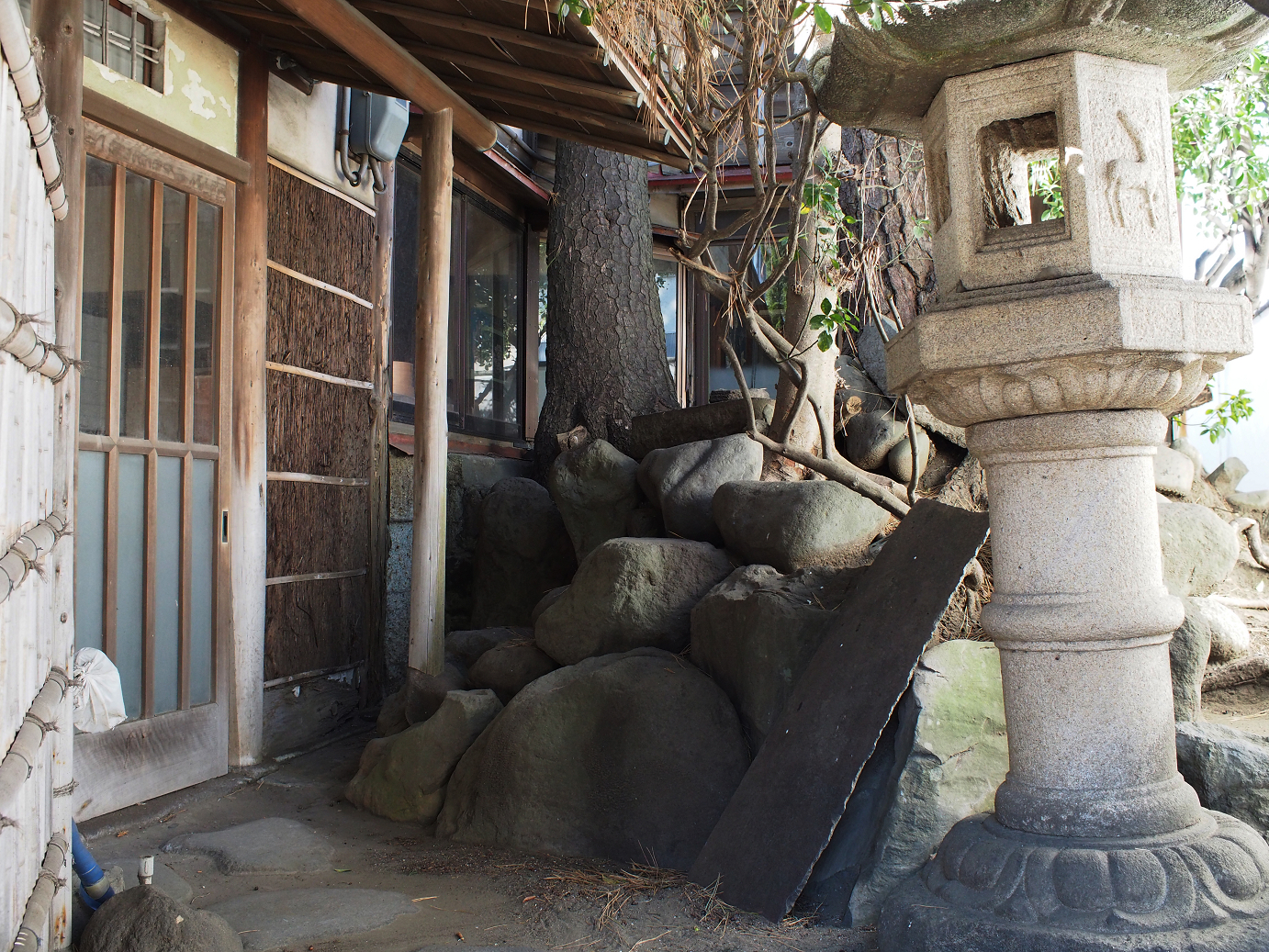 P1110554.jpg
