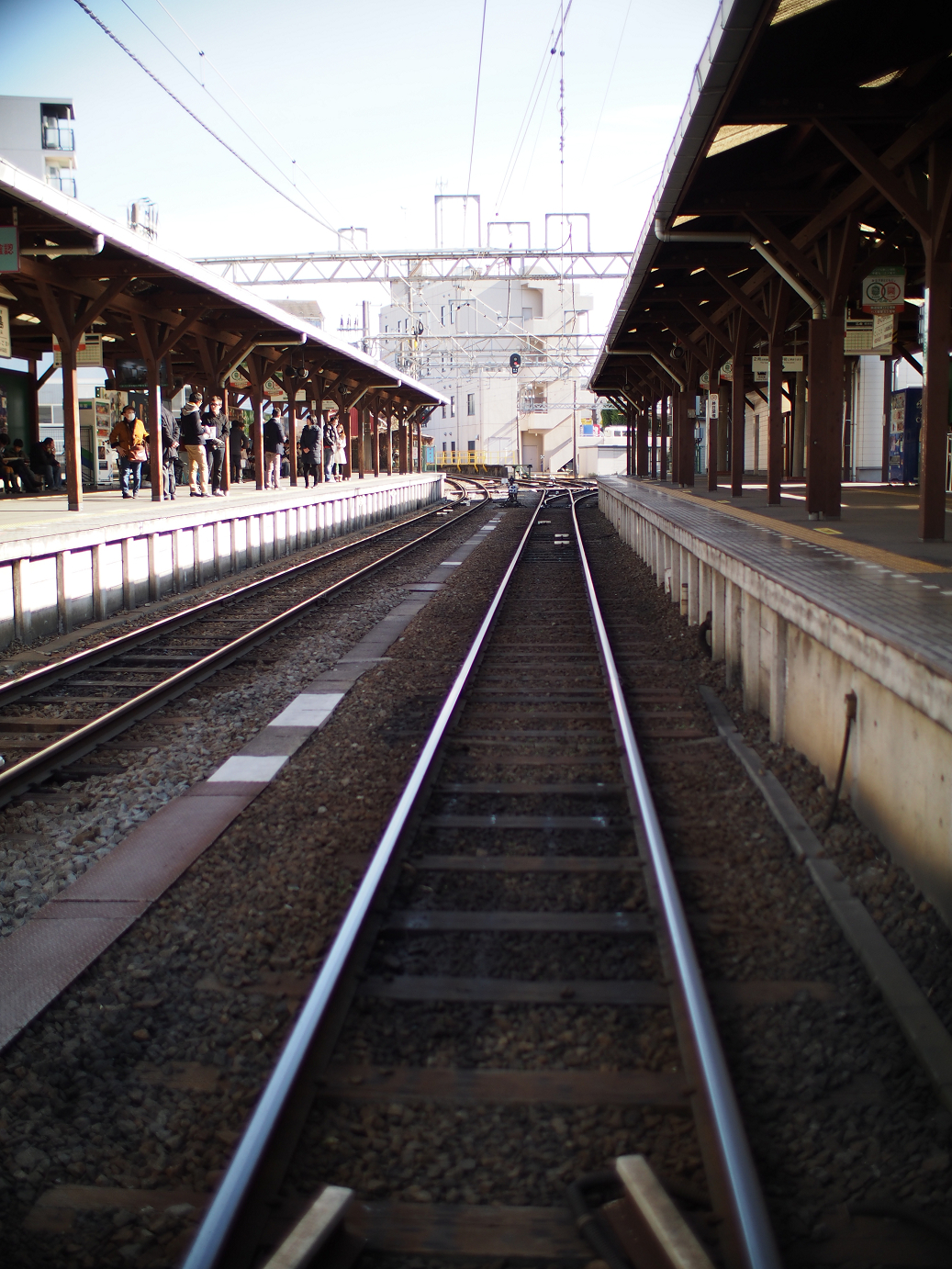 P1110558.jpg