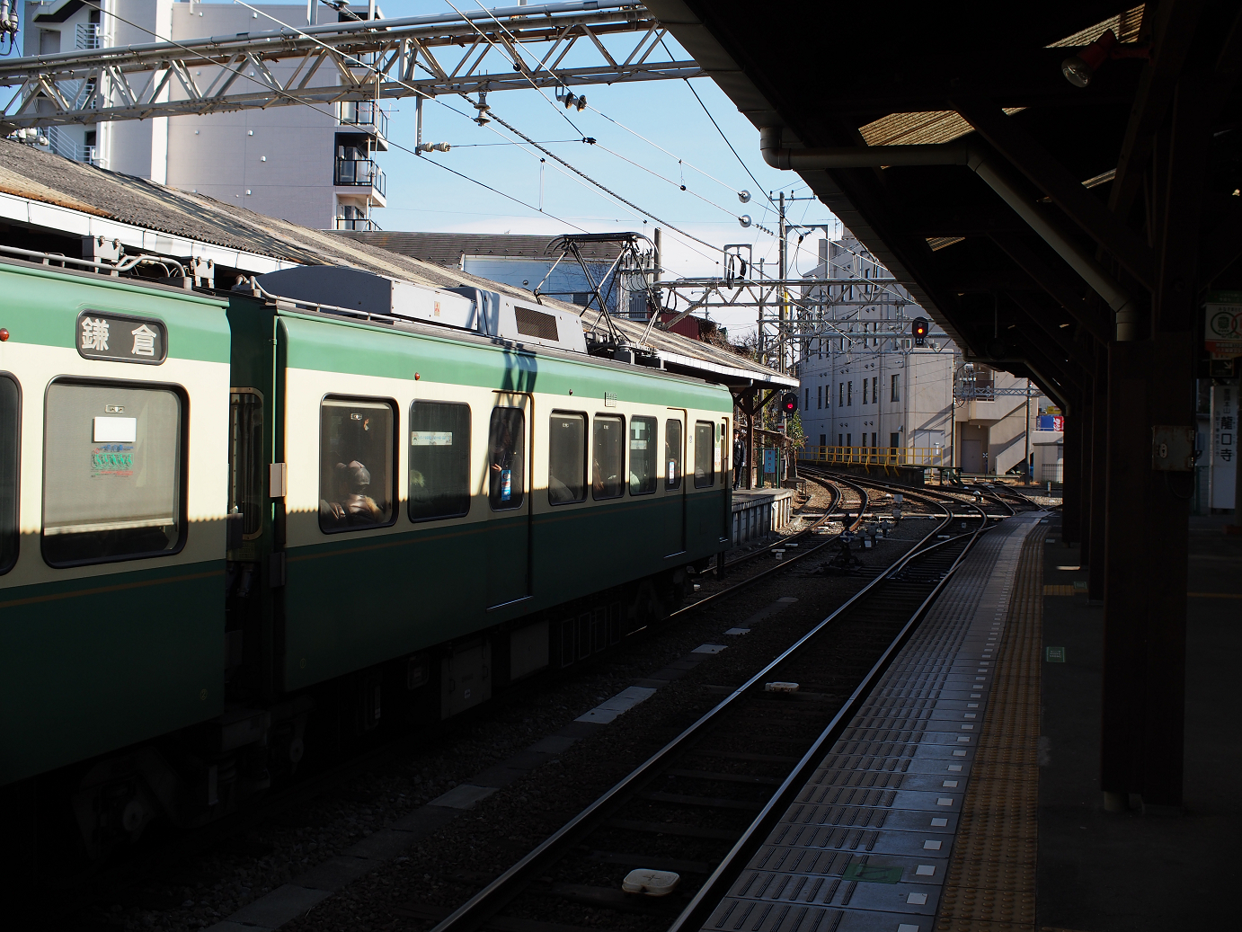 P1110564.jpg