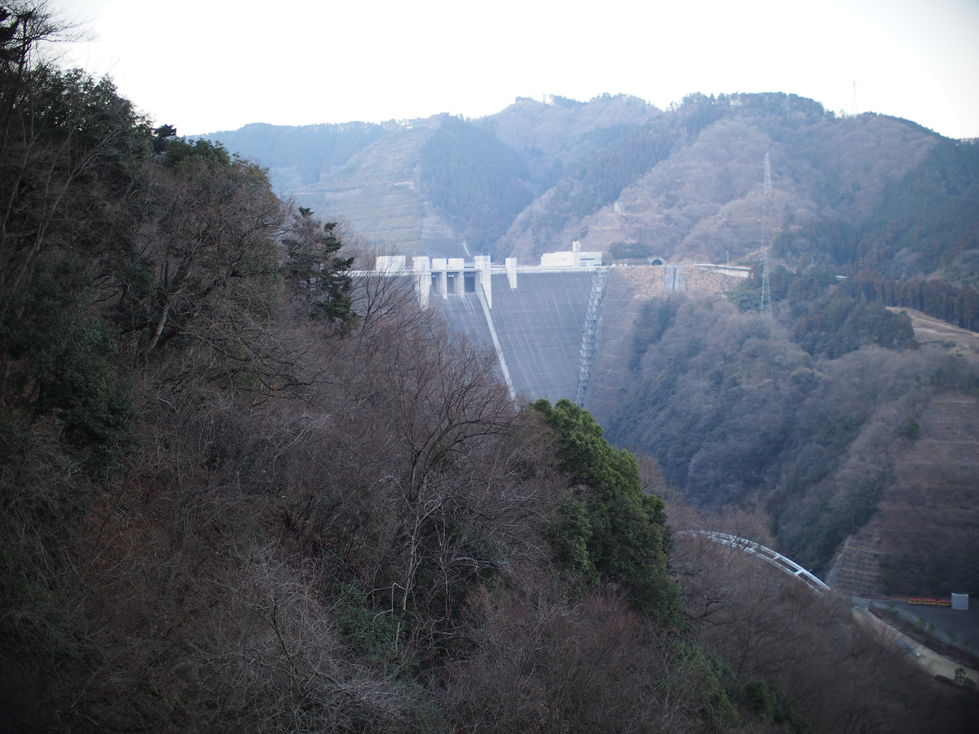P1110577.jpg
