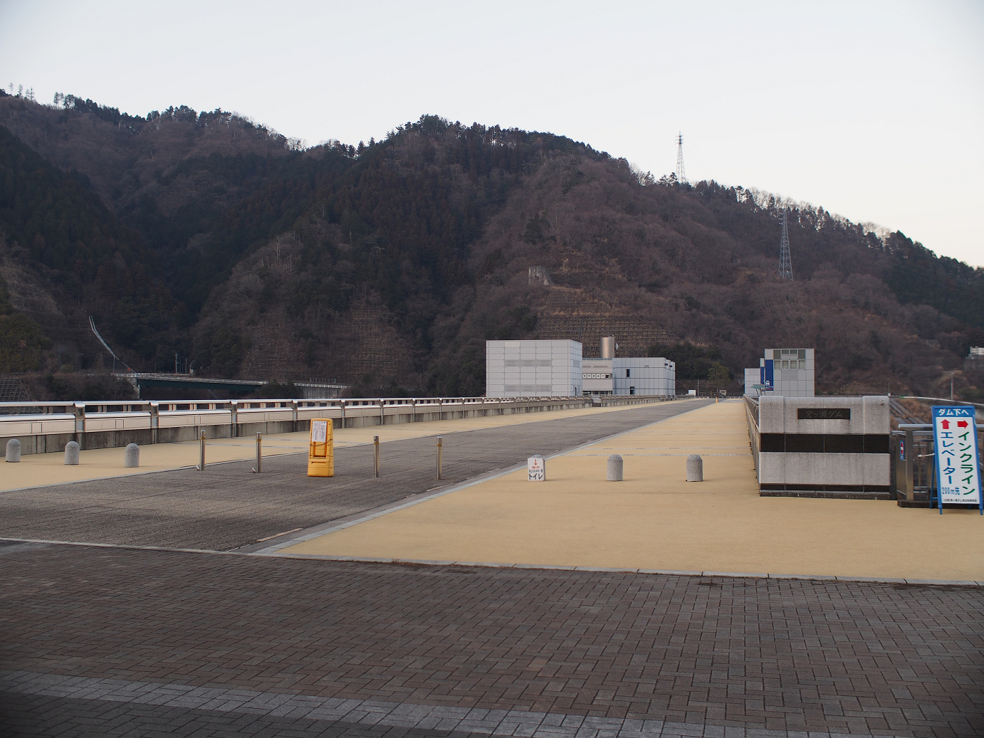 P1110581.jpg