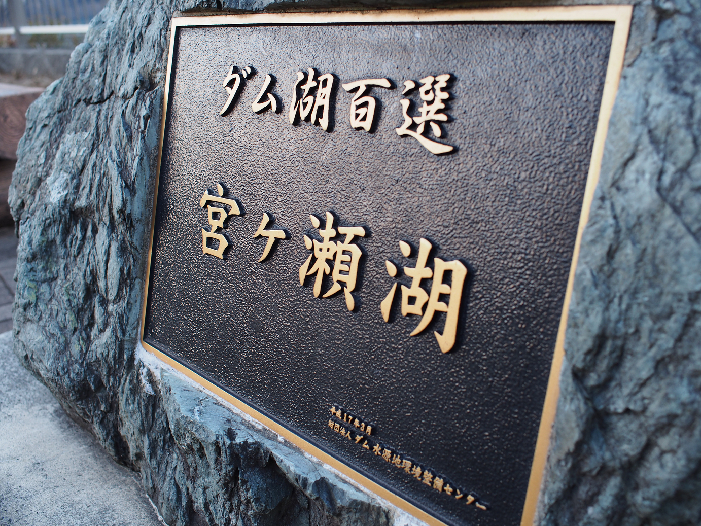 P1110586.jpg