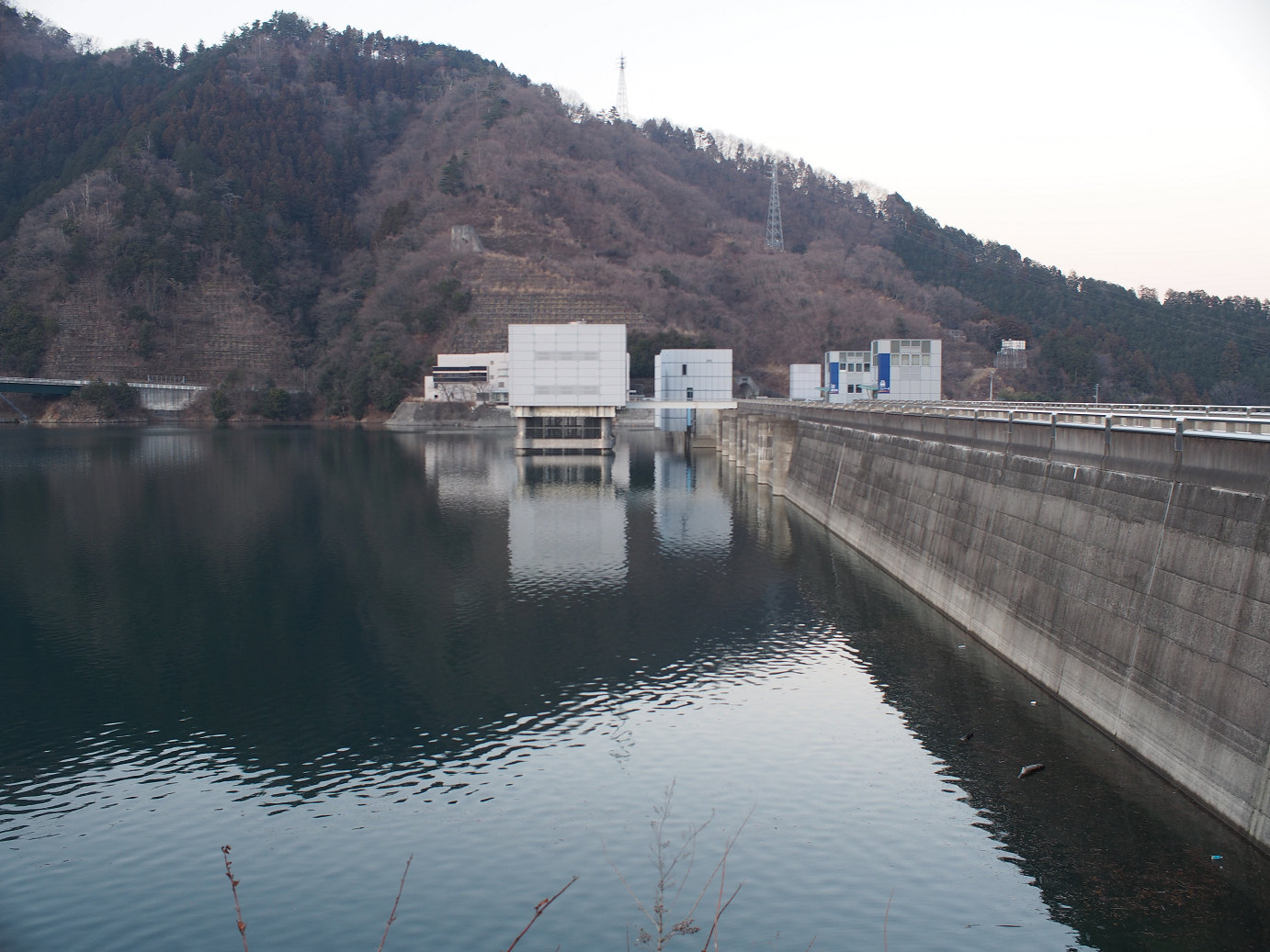 P1110587.jpg