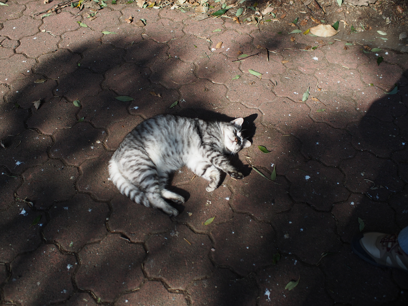 P1240091.jpg