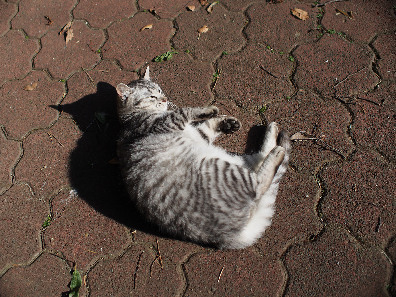 P1240117.jpg