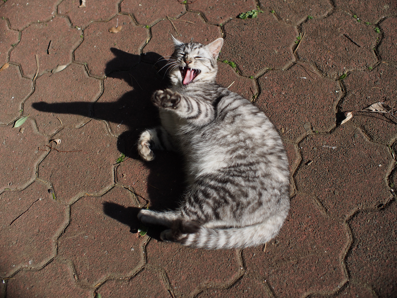 P1240118.jpg