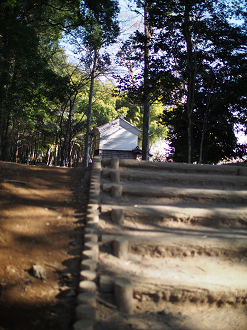 P1240136_thumb.png