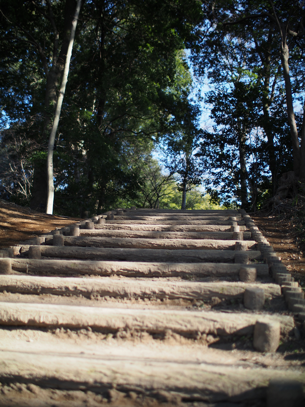 P1240137.jpg