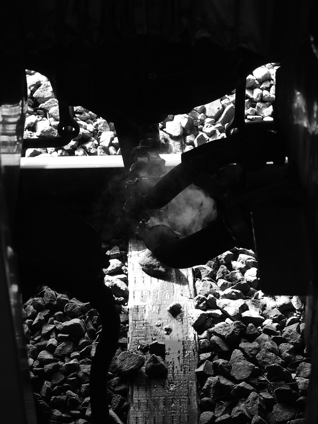 P203594.jpg