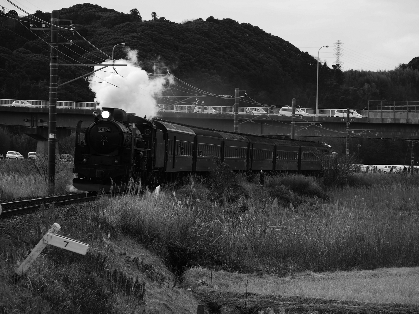 P203671.jpg