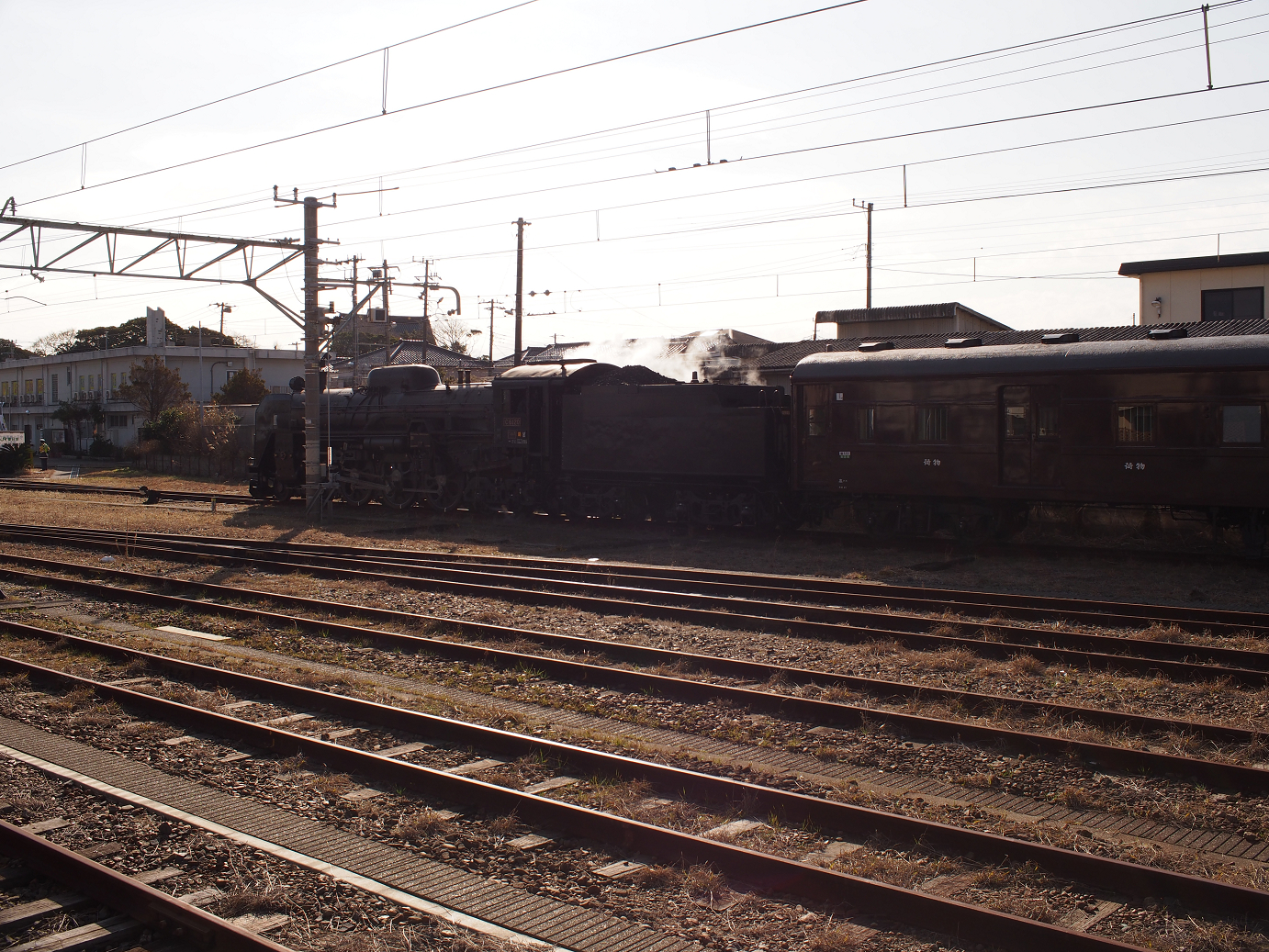 P203500.jpg