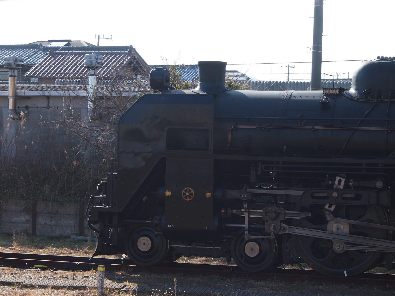 P203513.jpg