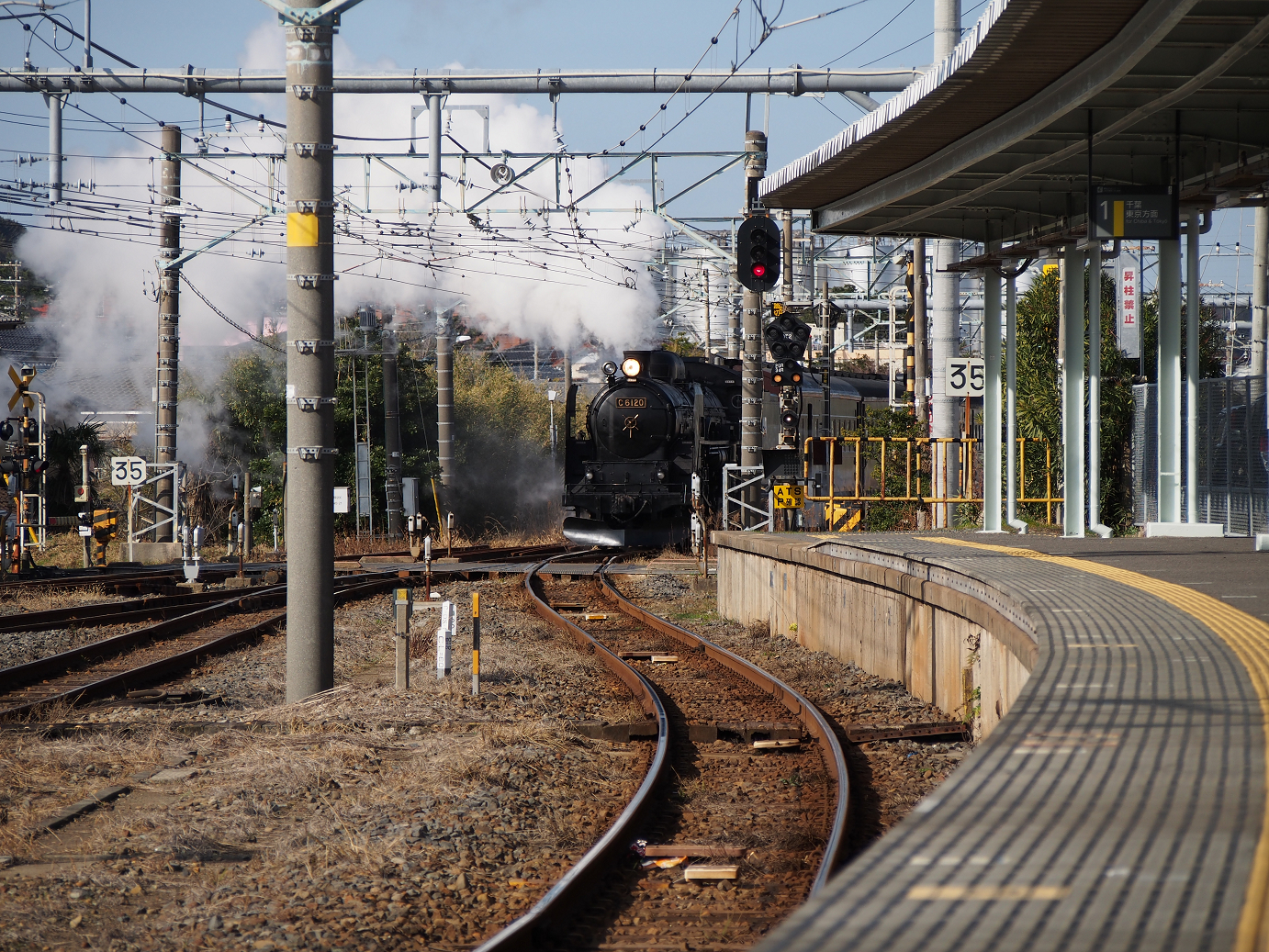 P203529.jpg