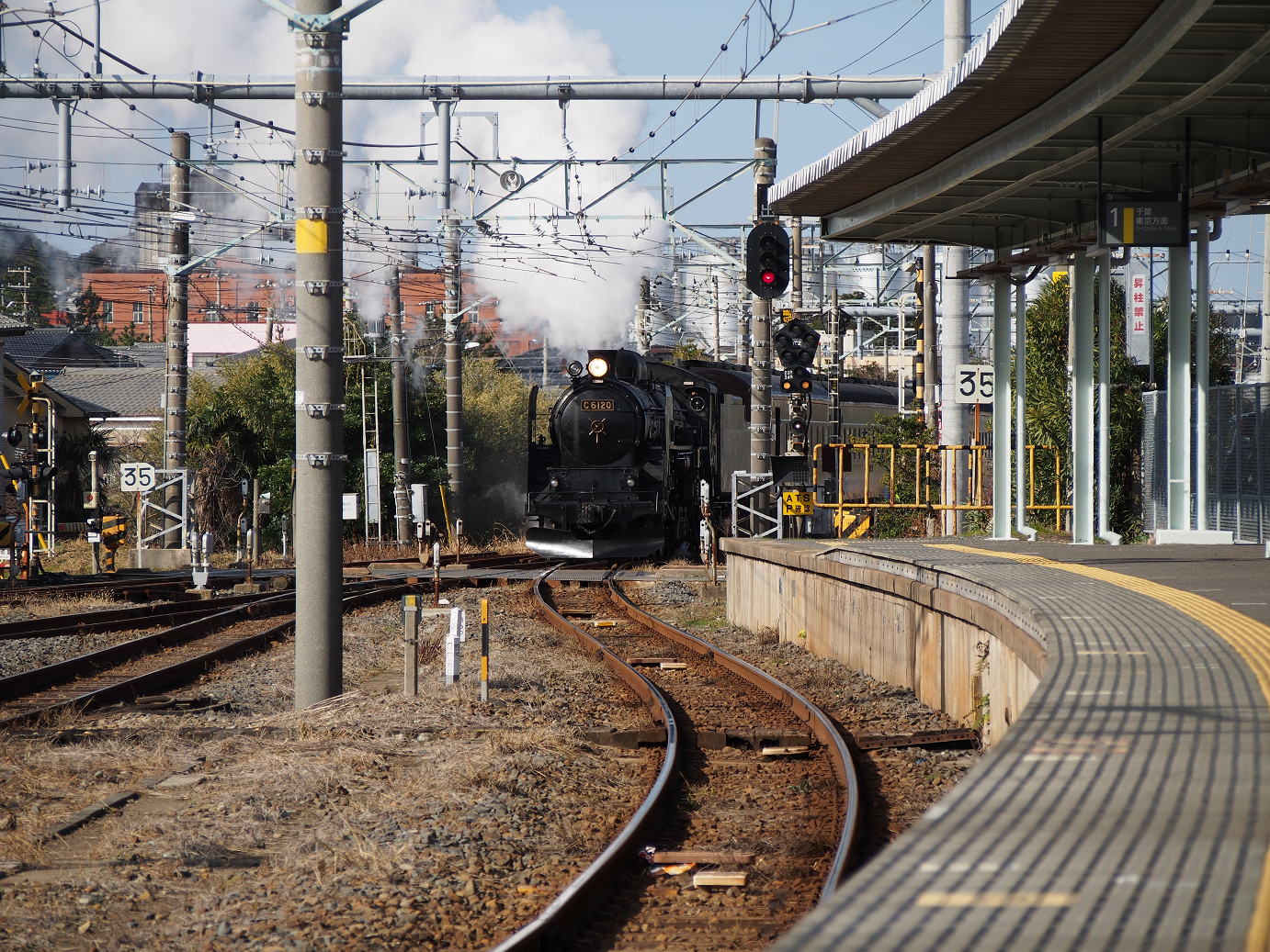 P203530.jpg