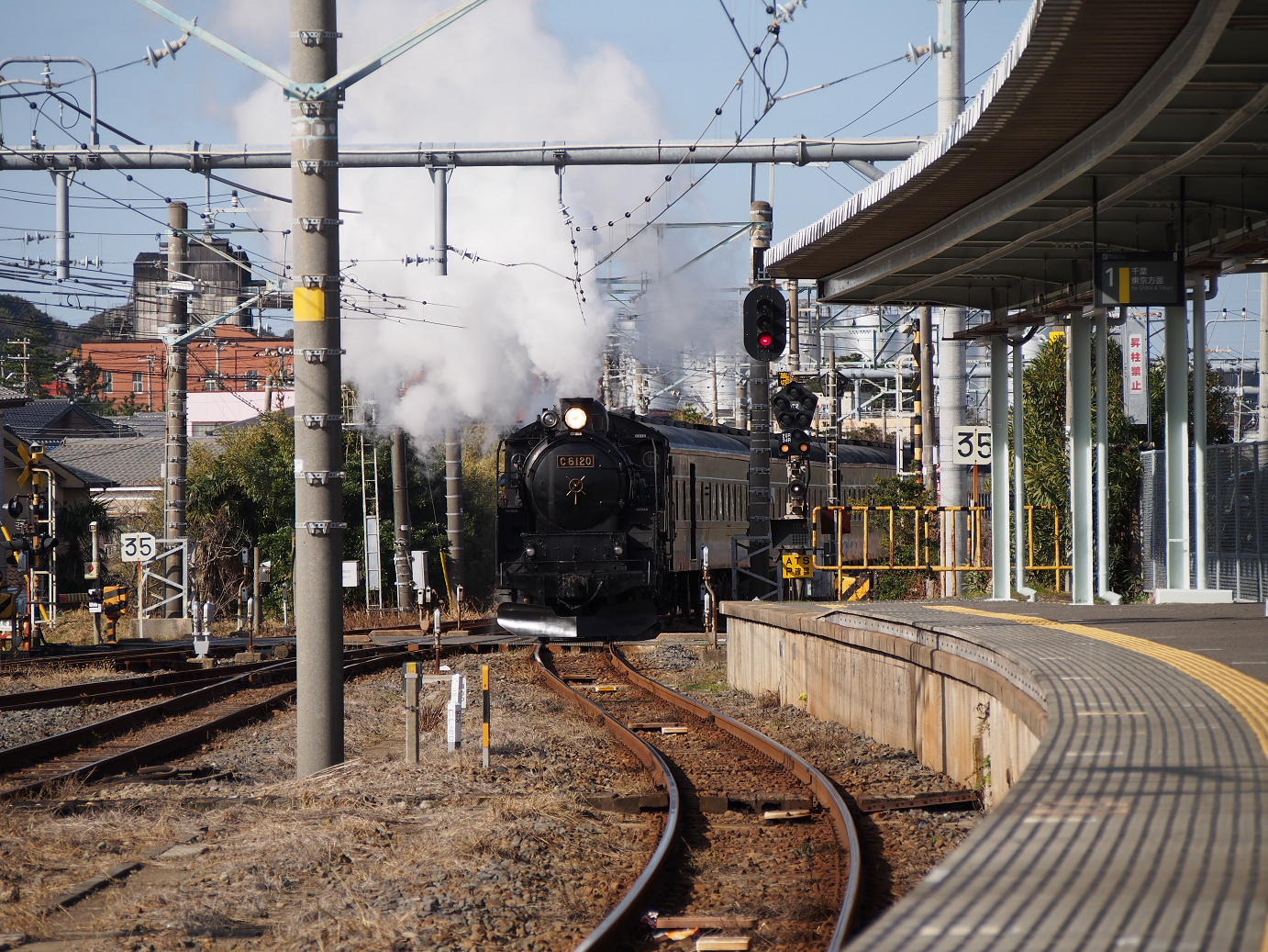 P203531.jpg